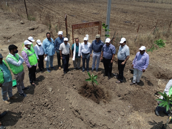 Tree Plantation by Rajpath